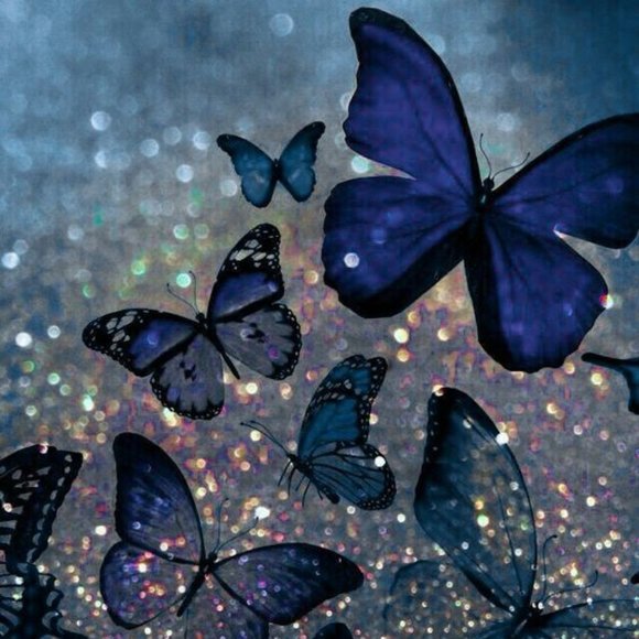 Meet your Posher, Desiree - Picture 1 of 1